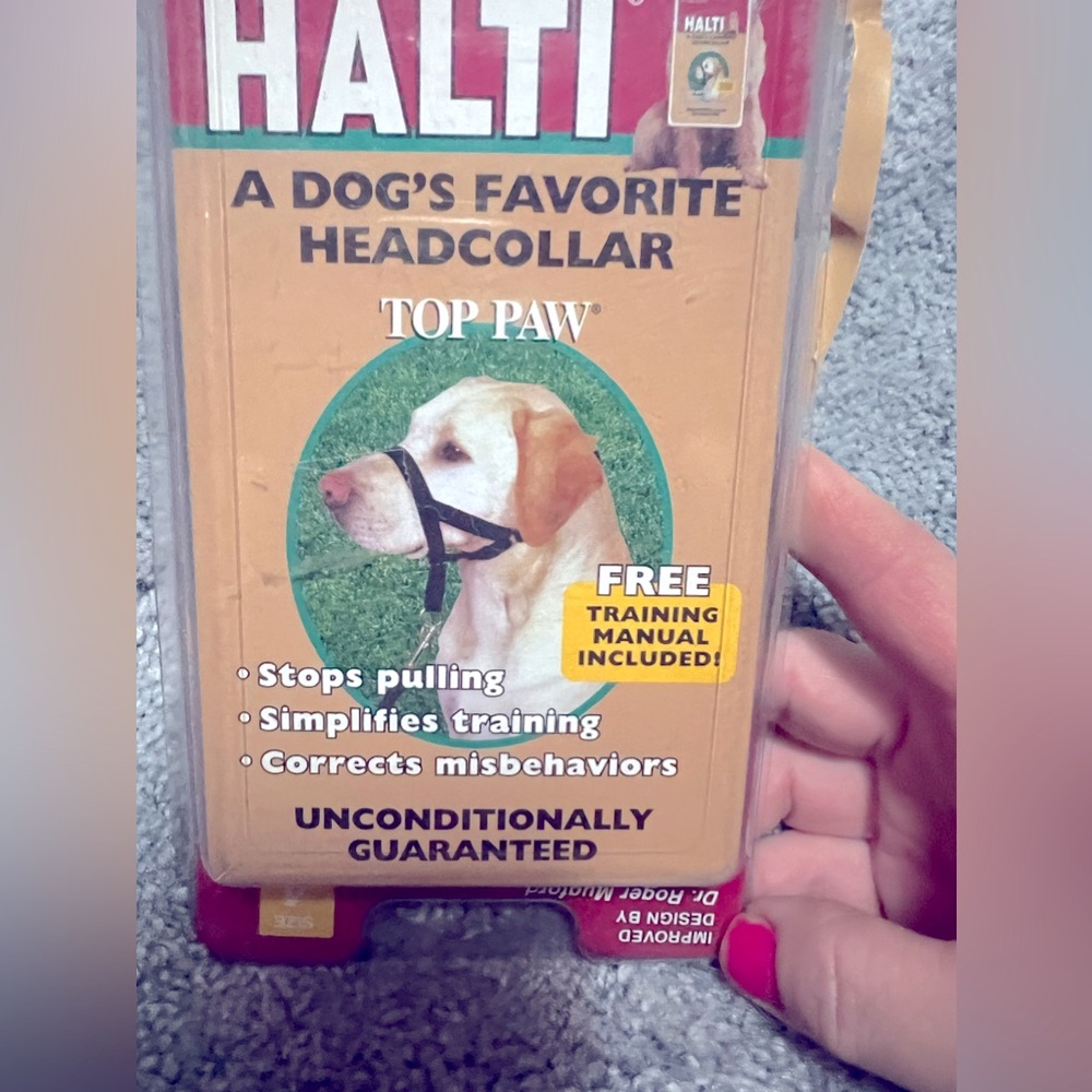 Dogs, halti on their face